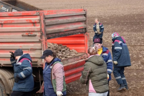 Как пропагандисты хотели упрекнуть беларусов, а забросили камень в огород Лукашенко