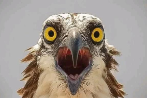 Кнырович: «Настоящий кризис в экономике Беларуси начался»